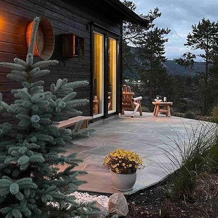 Cosy Cabin Between Lake And Mountain Treungen المظهر الخارجي الصورة