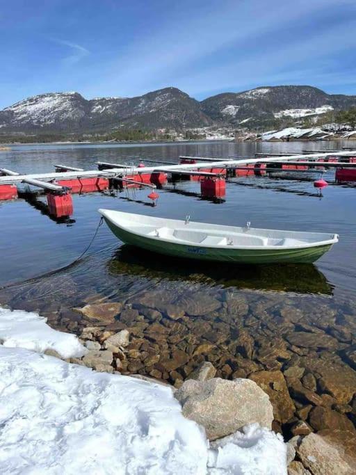 Cosy Cabin Between Lake And Mountain Treungen المظهر الخارجي الصورة