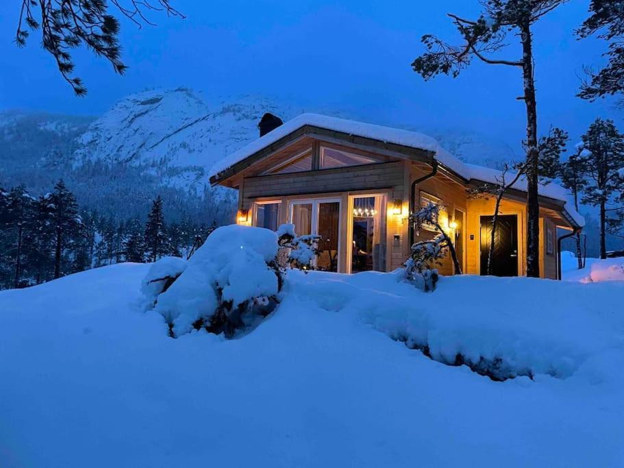 Cosy Cabin Between Lake And Mountain Treungen المظهر الخارجي الصورة