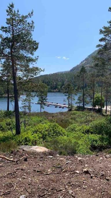 Cosy Cabin Between Lake And Mountain Treungen المظهر الخارجي الصورة
