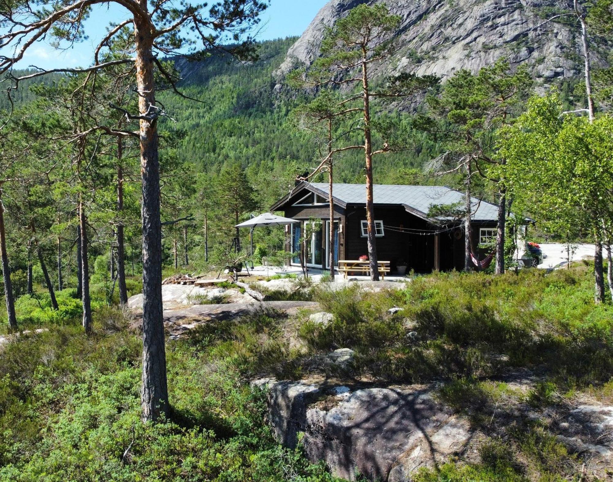 Cosy Cabin Between Lake And Mountain Treungen المظهر الخارجي الصورة